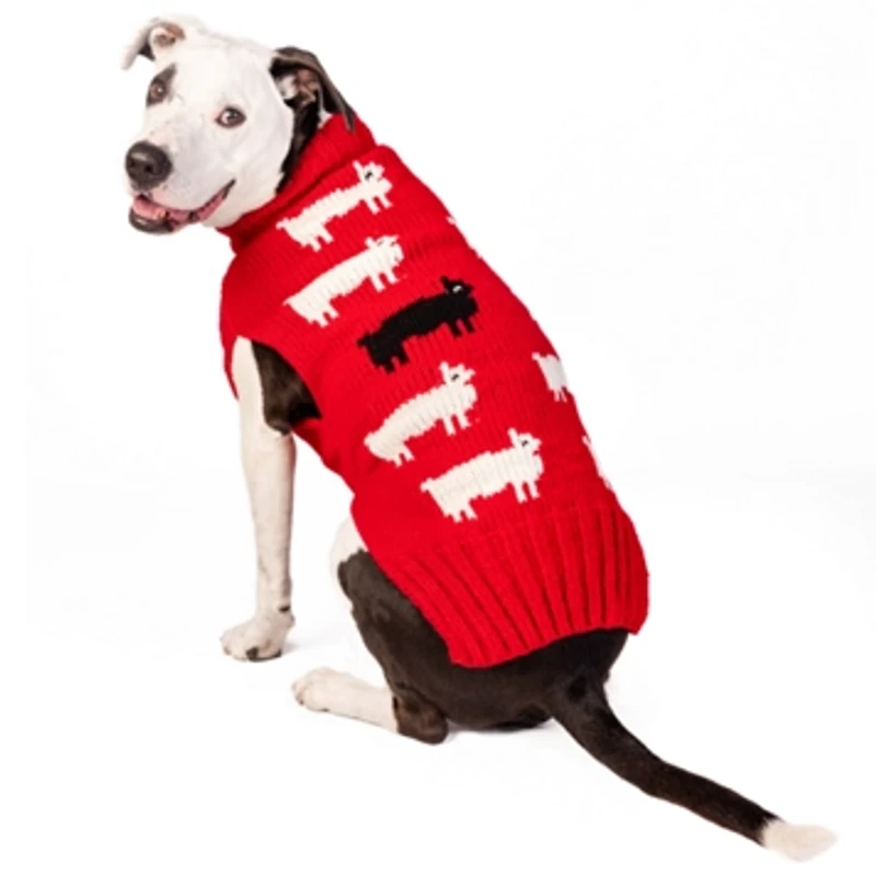 Chilly Dog Black Sheep Sweater