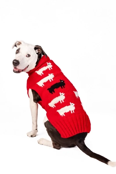 Chilly Dog Black Sheep Sweater