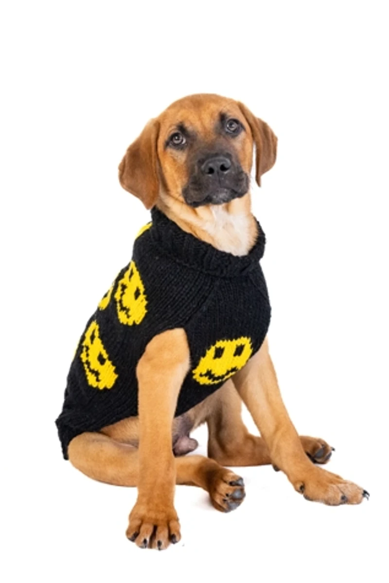 Chilly Dog Smiley Sweater