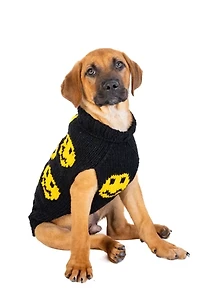 Chilly Dog Smiley Sweater