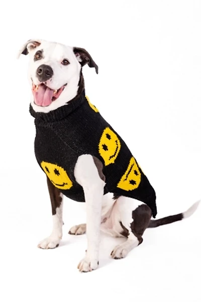 Chilly Dog Smiley Sweater