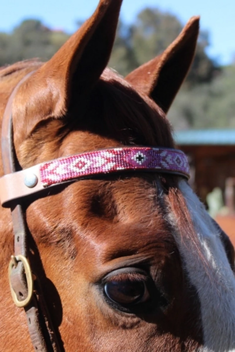 Sambboho Melrose Horse Browband