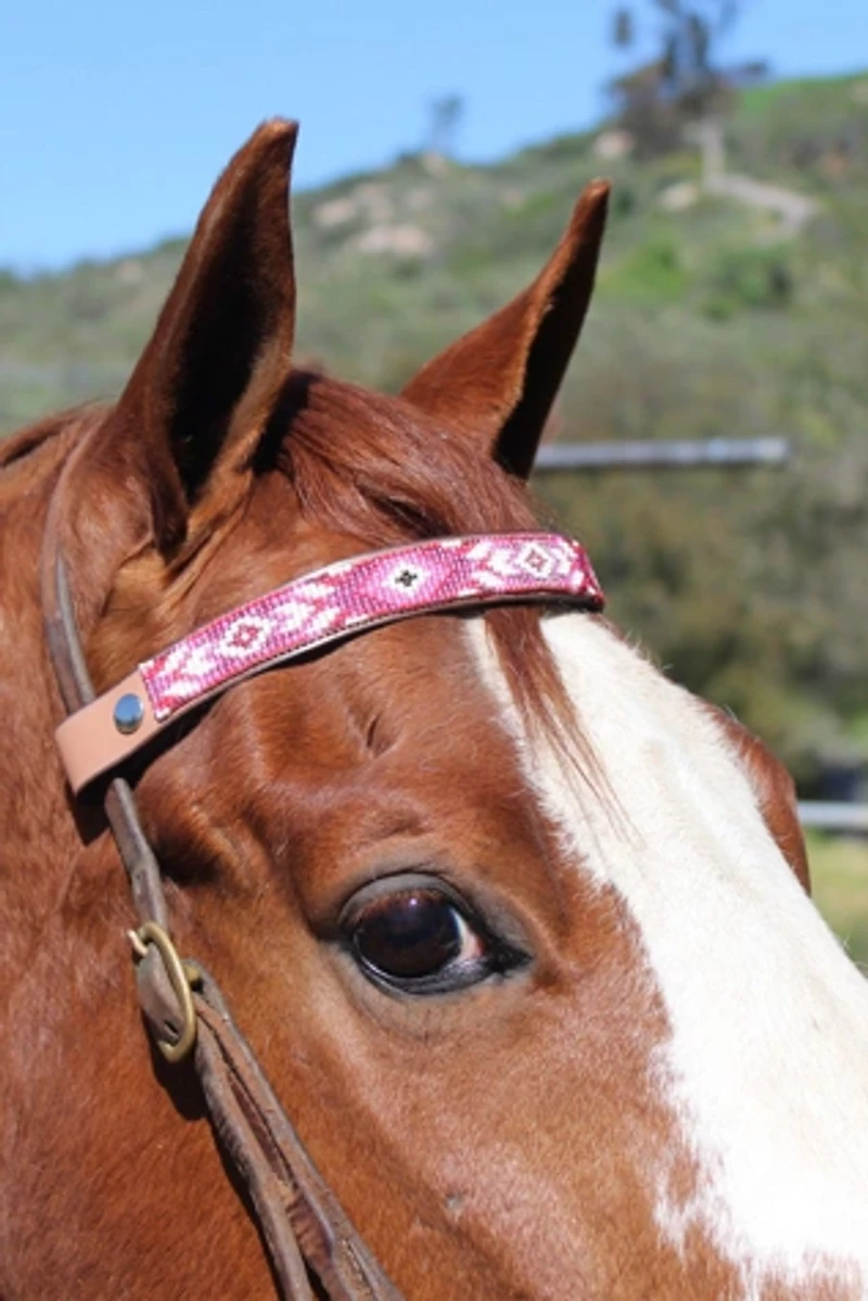Sambboho Melrose Horse Browband