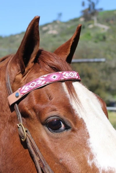 Sambboho Melrose Horse Browband