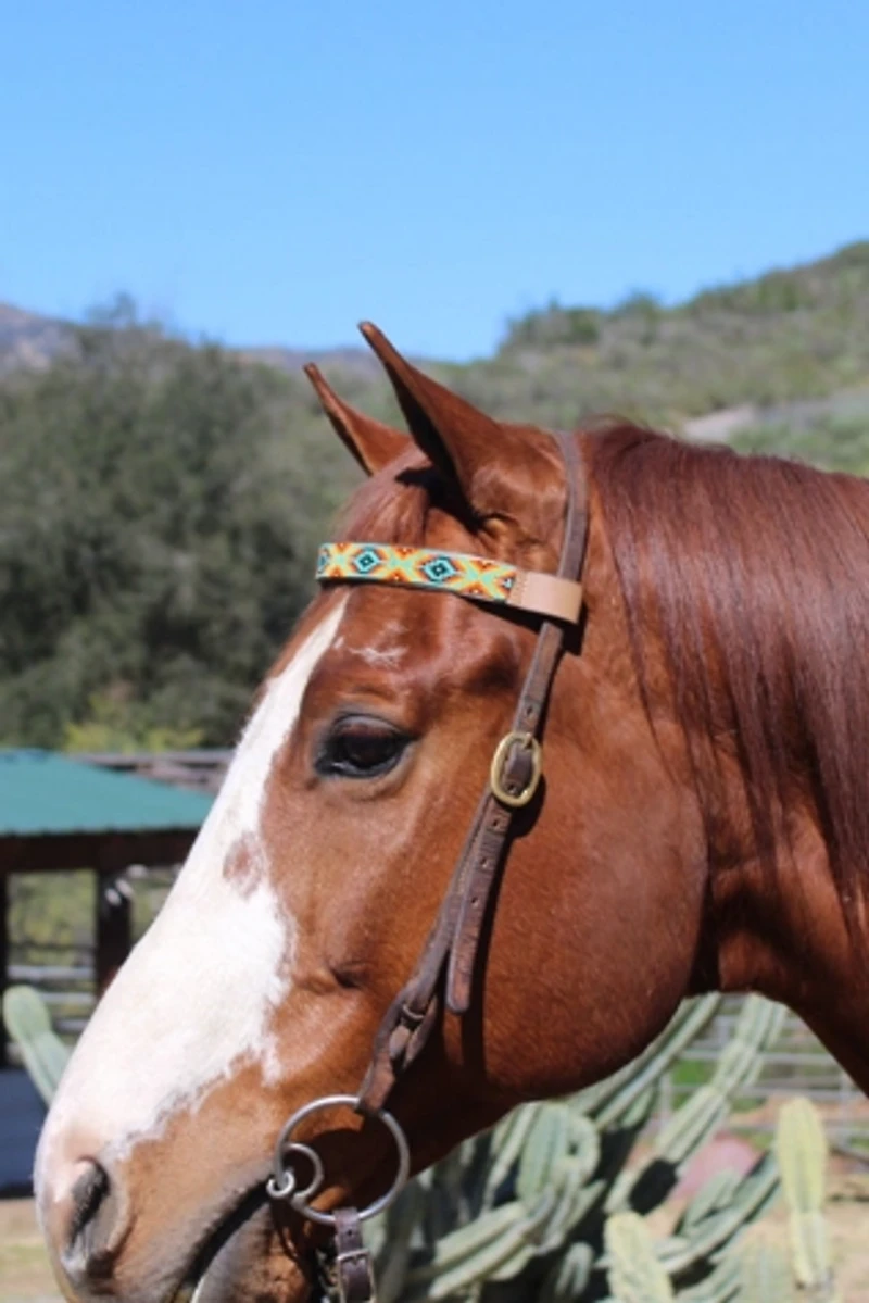 Sambboho Bahamas Horse Browband