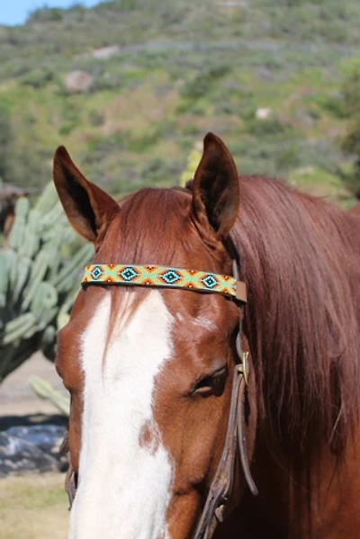 Sambboho Bahamas Horse Browband