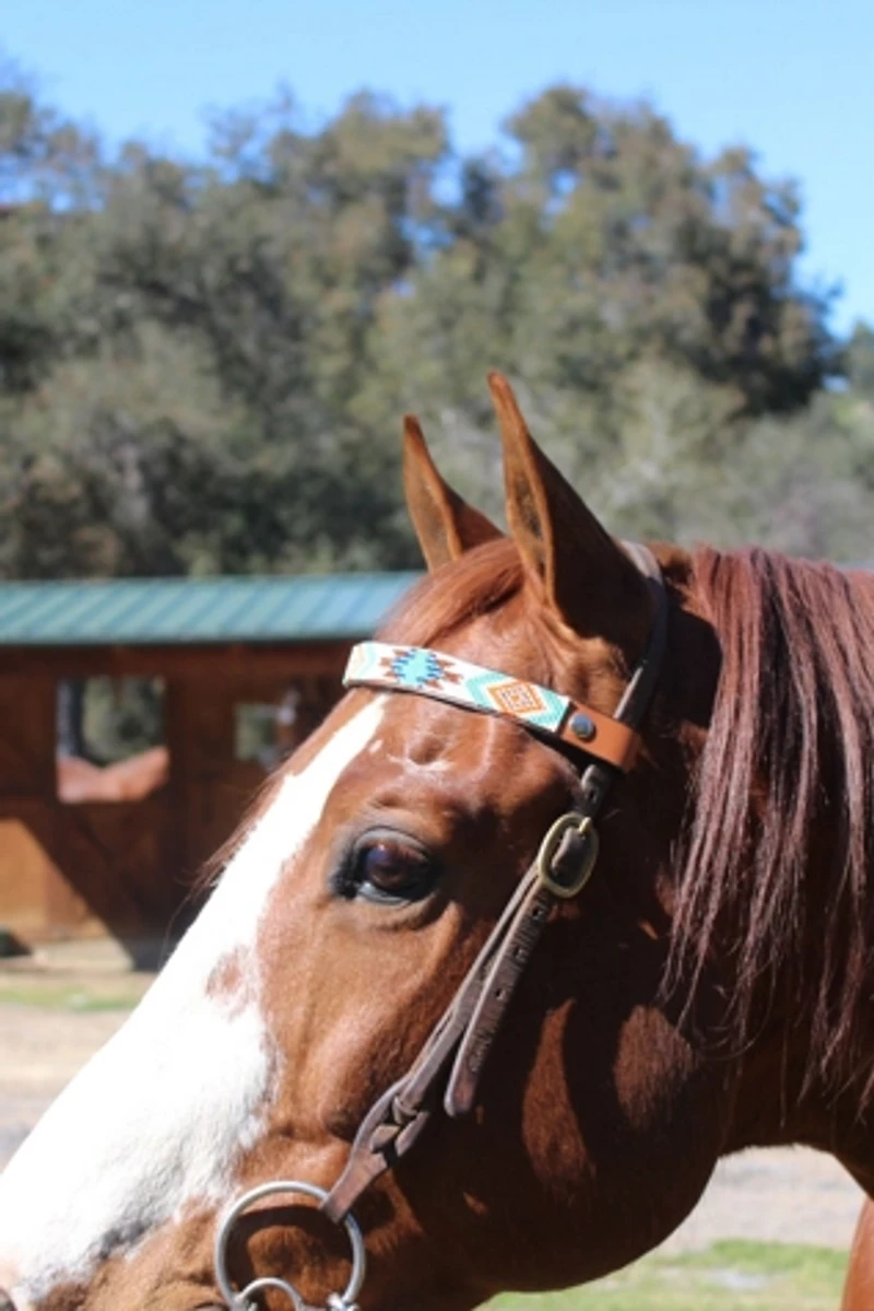 Sambboho Aztec Horse Browband