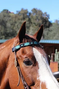 Sambboho Saint Barth Horse Browband