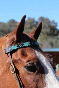 Sambboho Saint Barth Horse Browband