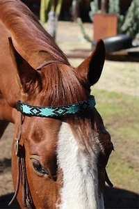 Sambboho Saint Barth Horse Browband