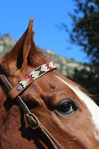 Sambboho Phoenix Horse Browband