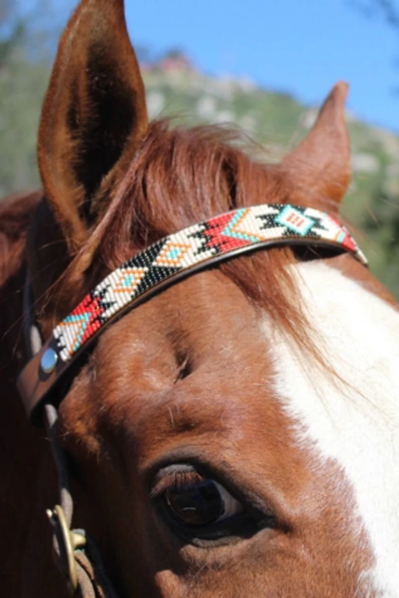 Sambboho Phoenix Horse Browband
