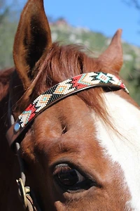 Sambboho Phoenix Horse Browband