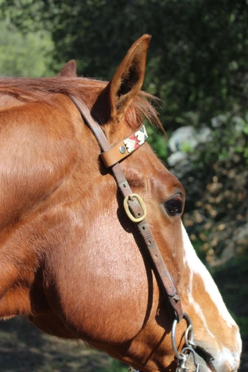 Sambboho Phoenix Horse Browband