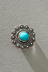 Broken Arrow Desert Flower Pin