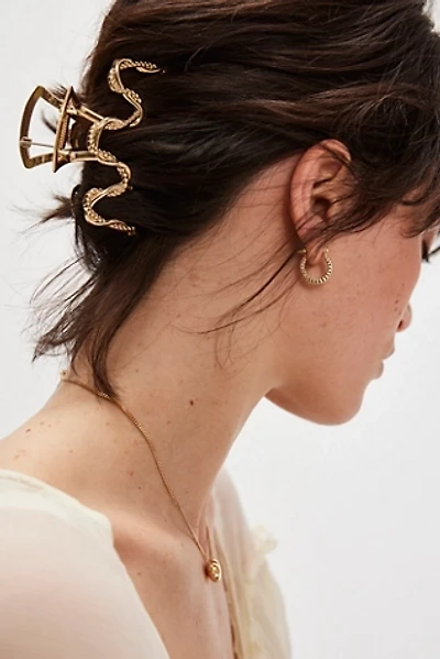 Can't Be Tamed Claw Clip