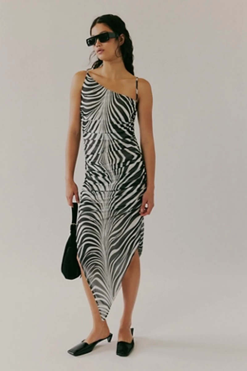 Saemdi Zebra Mesh Dress