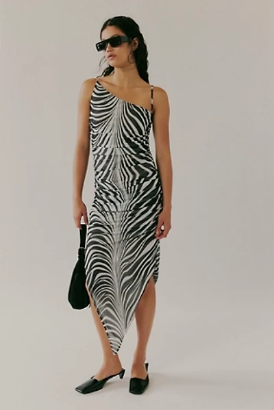 Saemdi Zebra Mesh Dress