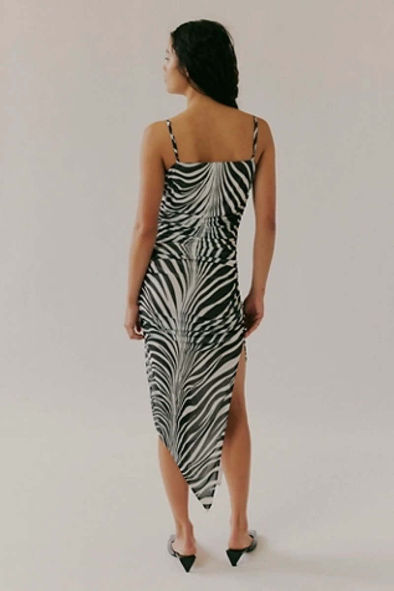 Saemdi Zebra Mesh Dress