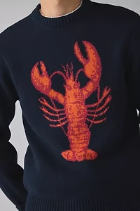 Dark Seas Montauk Crew Neck Sweater