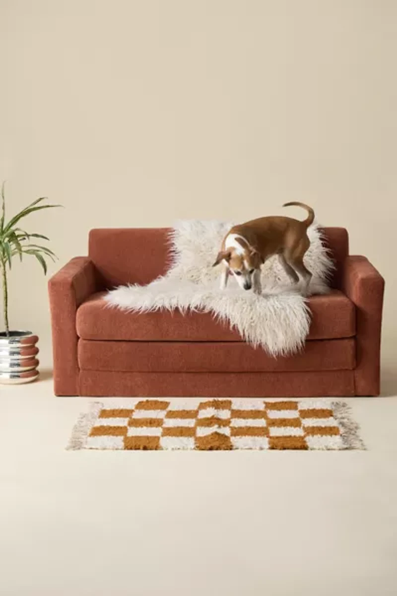 Nolan Fold-Out Sleeper Sofa