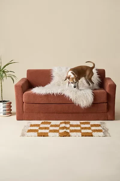 Nolan Fold-Out Sleeper Sofa