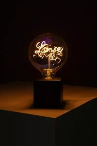 Echo Neon Love LED Filament Lamp
