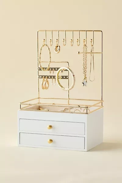 Jewelry Organizer & Display Stand