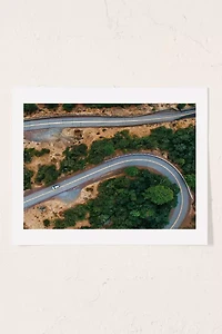 Hillary Murphy Rowena Crest Art Print