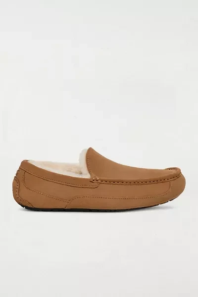 UGG Men's Ascot Slipper