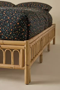 Zoe Rattan Platform Bed