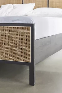 Ivy Cane Paneled Bed