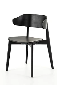 Aiden Mid-Century Dining Chair
