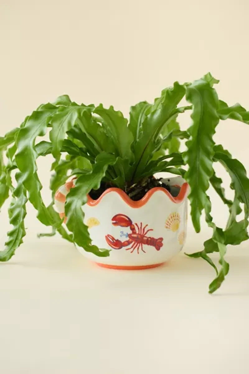 Lobster Dinner Scalloped Ceramic Planter