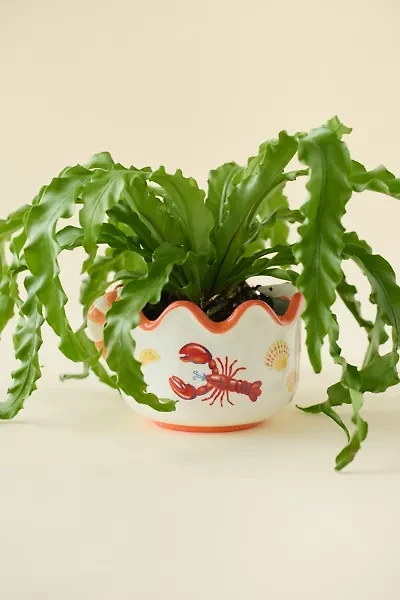Lobster Dinner Scalloped Ceramic Planter