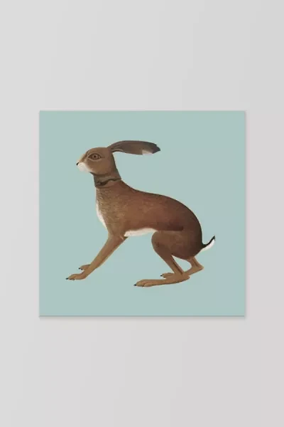 Vashti Bunyan - Lookaftering (Expanded Edition) LP