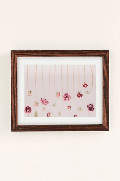 Ingrid Beddoes Photography Strawflowers Art Print