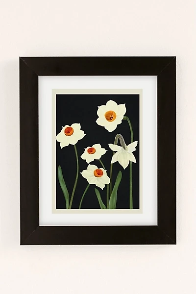 Nadja Beautiful Summer Flowers Art Print