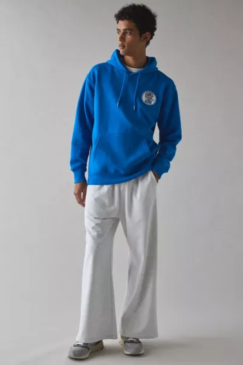NFL UO Exclusive Detroit Lions Chenille Patch Hoodie Sweatshirt