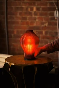 Wooj Design x Christopher Merchant The Baleine Lamp