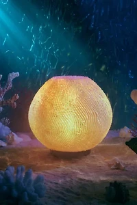 Wooj Design The Coral Lamp