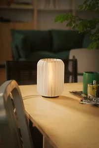 Wooj Design x Christopher Merchant The Mini Allium Lamp