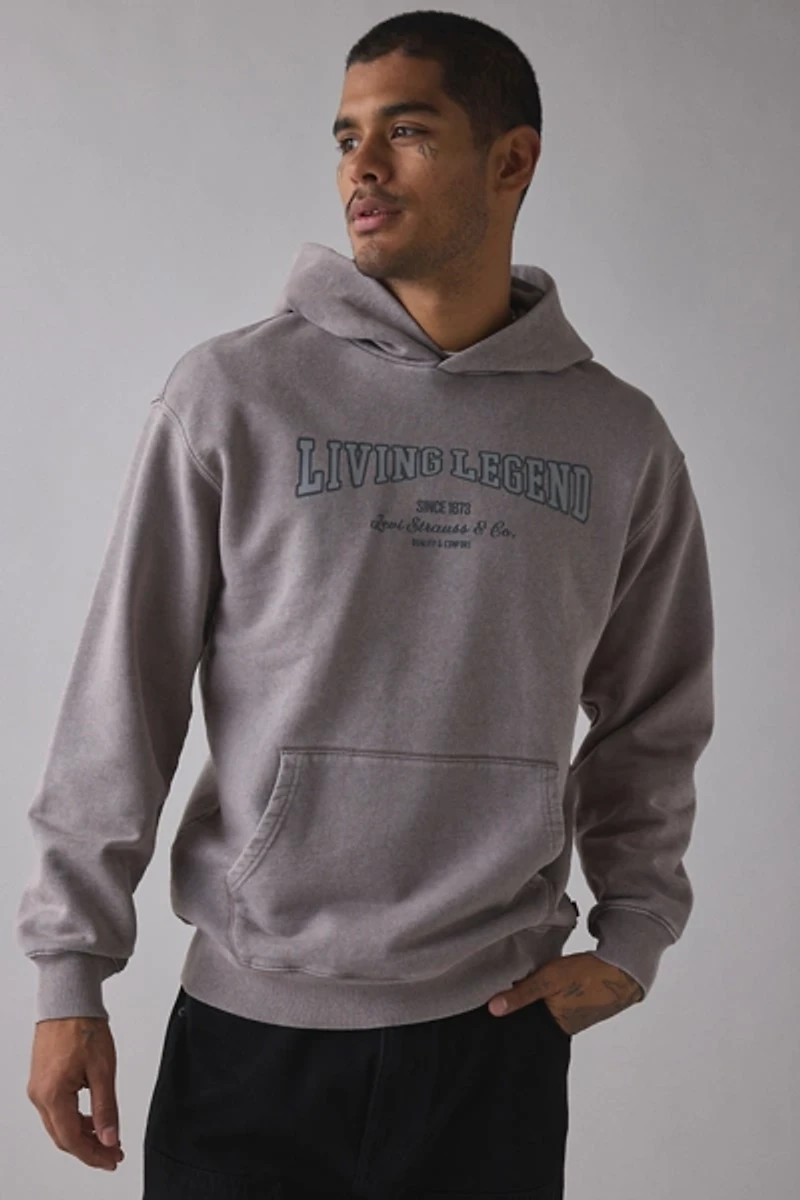 Levi’s® Two Horse Cropped Boxy Fit Hoodie Sweatshirt