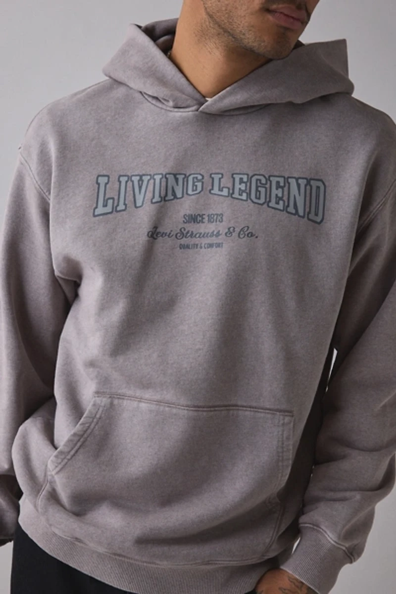 Levi’s® Two Horse Cropped Boxy Fit Hoodie Sweatshirt