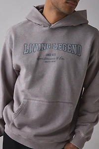 Levi’s® Two Horse Cropped Boxy Fit Hoodie Sweatshirt