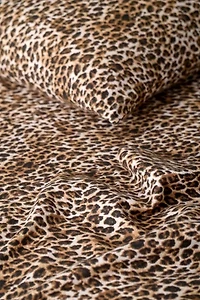 Printed Flannel Sheet Set