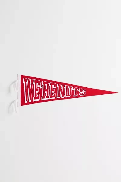 Game Day We’re Nuts College Pennant Flag Wall Hanging
