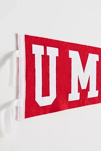 Game Day U Mad? College Pennant Flag Wall Hanging