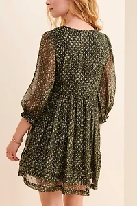 Printed Chiffon Dress