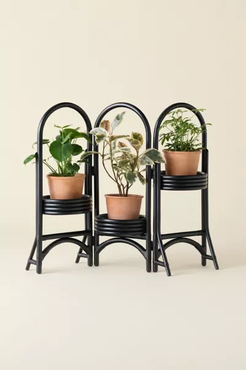 Rattan Tiered Plant Stand